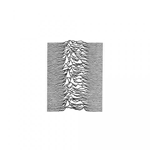 Goodhood x Joy Division