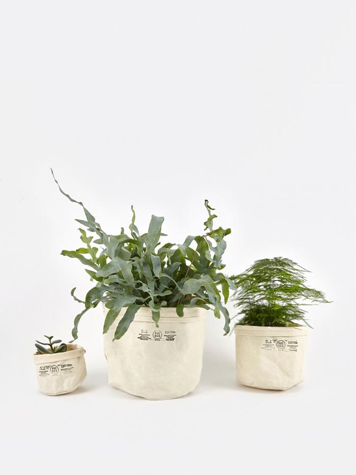 Puebco Puebco Canvas Pot Cover Set Of Three - Off White - White
