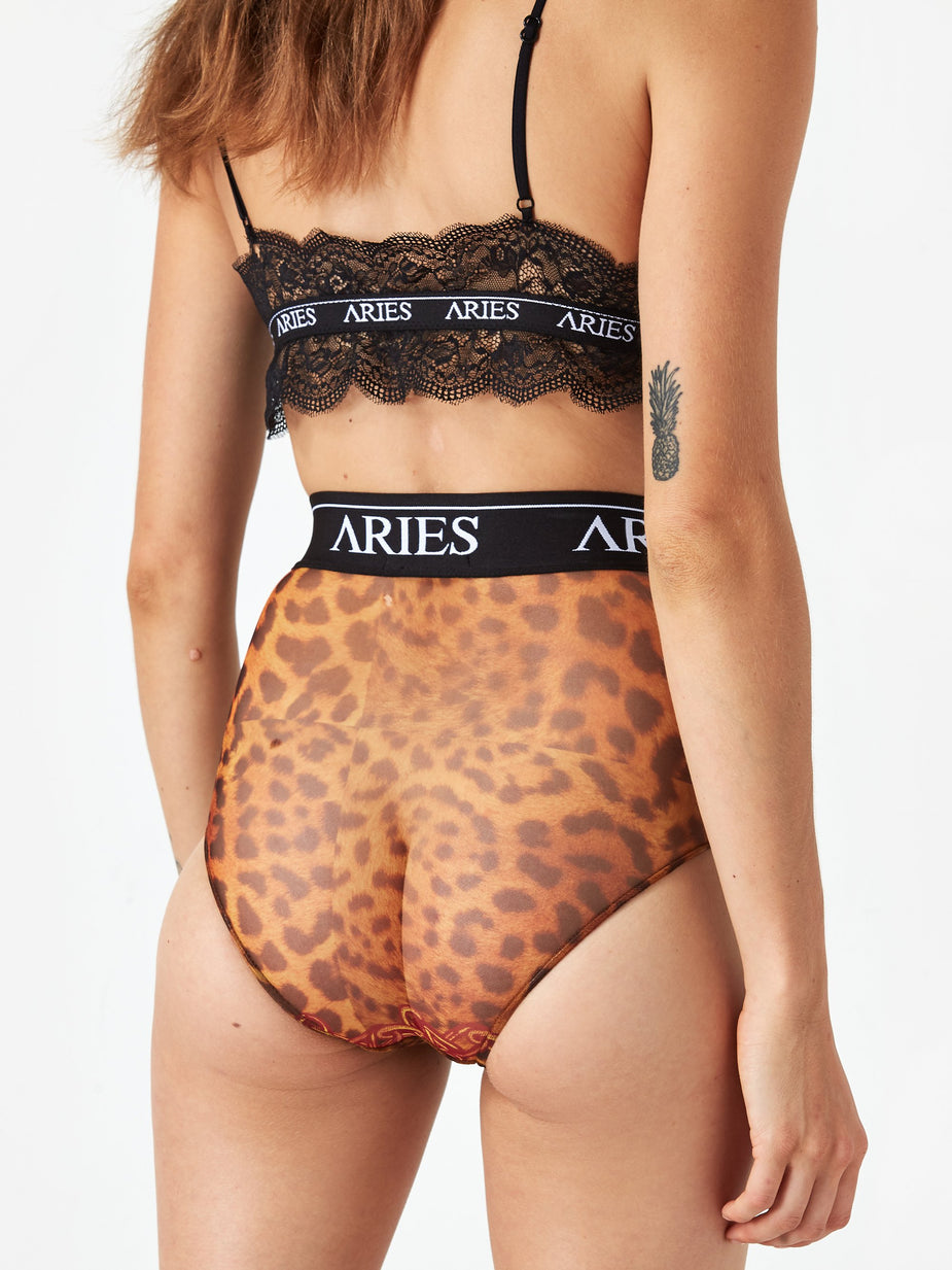 Aries Aries Leopard Mesh High Waist Brief - Leopard - Animal Print