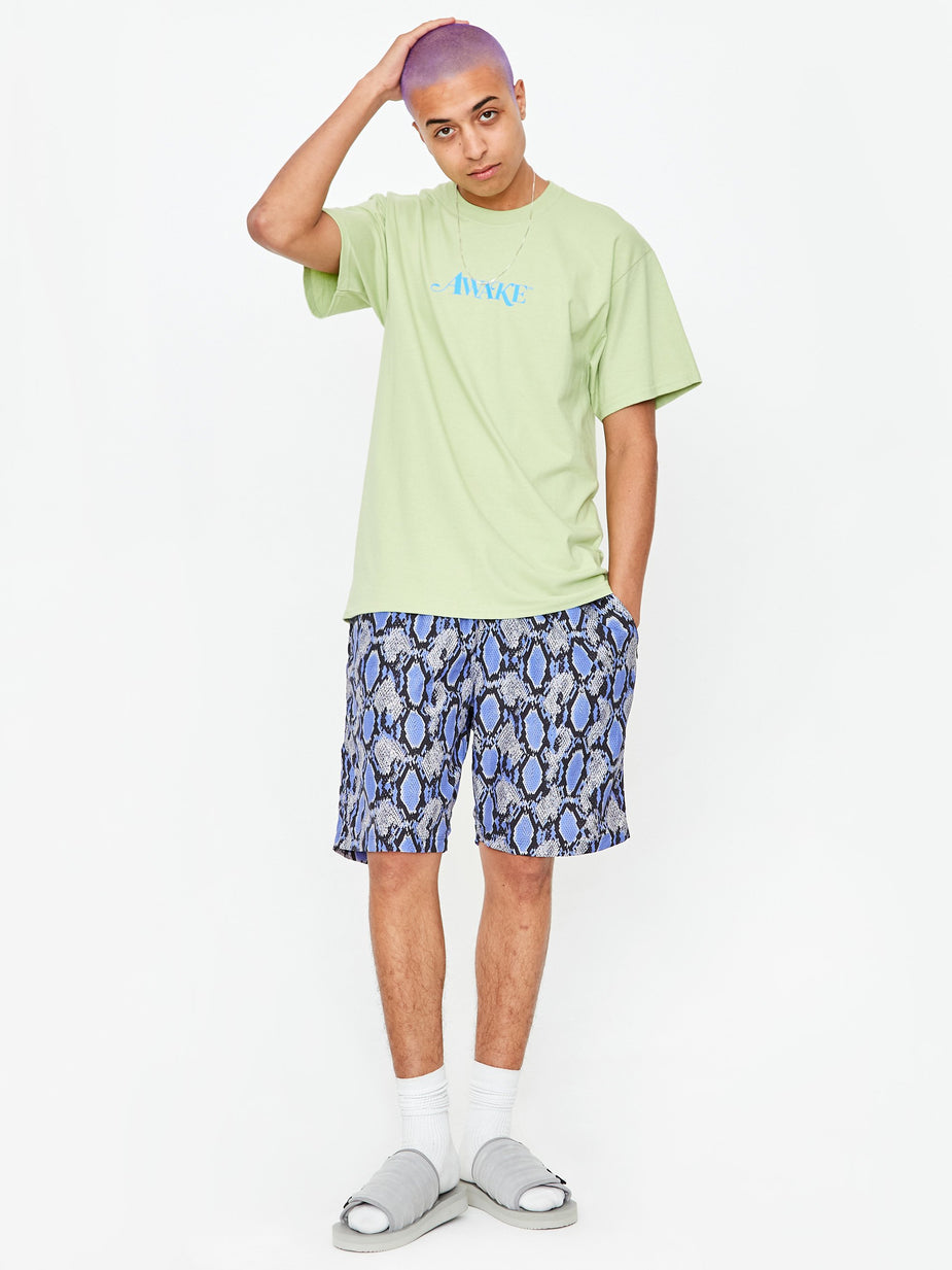 Awake NY Awake NY Classic Logo Shortsleeve T-Shirt - Light Green - Green