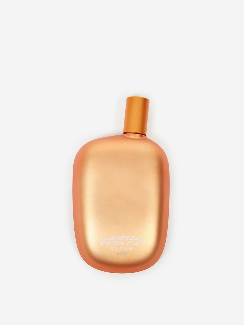 Comme des Garcons Parfums Comme des Garcons Copper - 100ml - Other