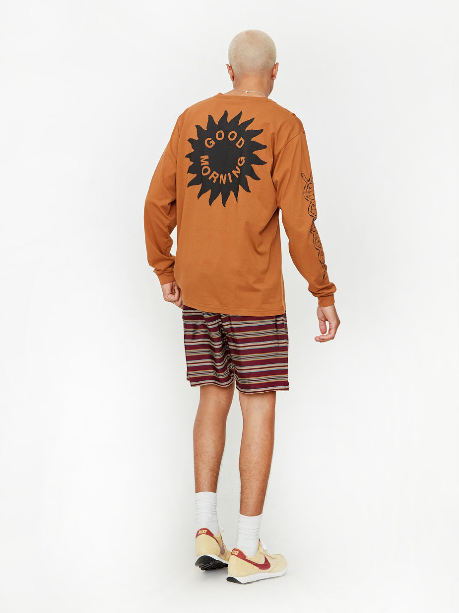 Good Morning Tapes Good Morning Tapes Plants Heal Longsleeve T-Shirt - Clay - Brown