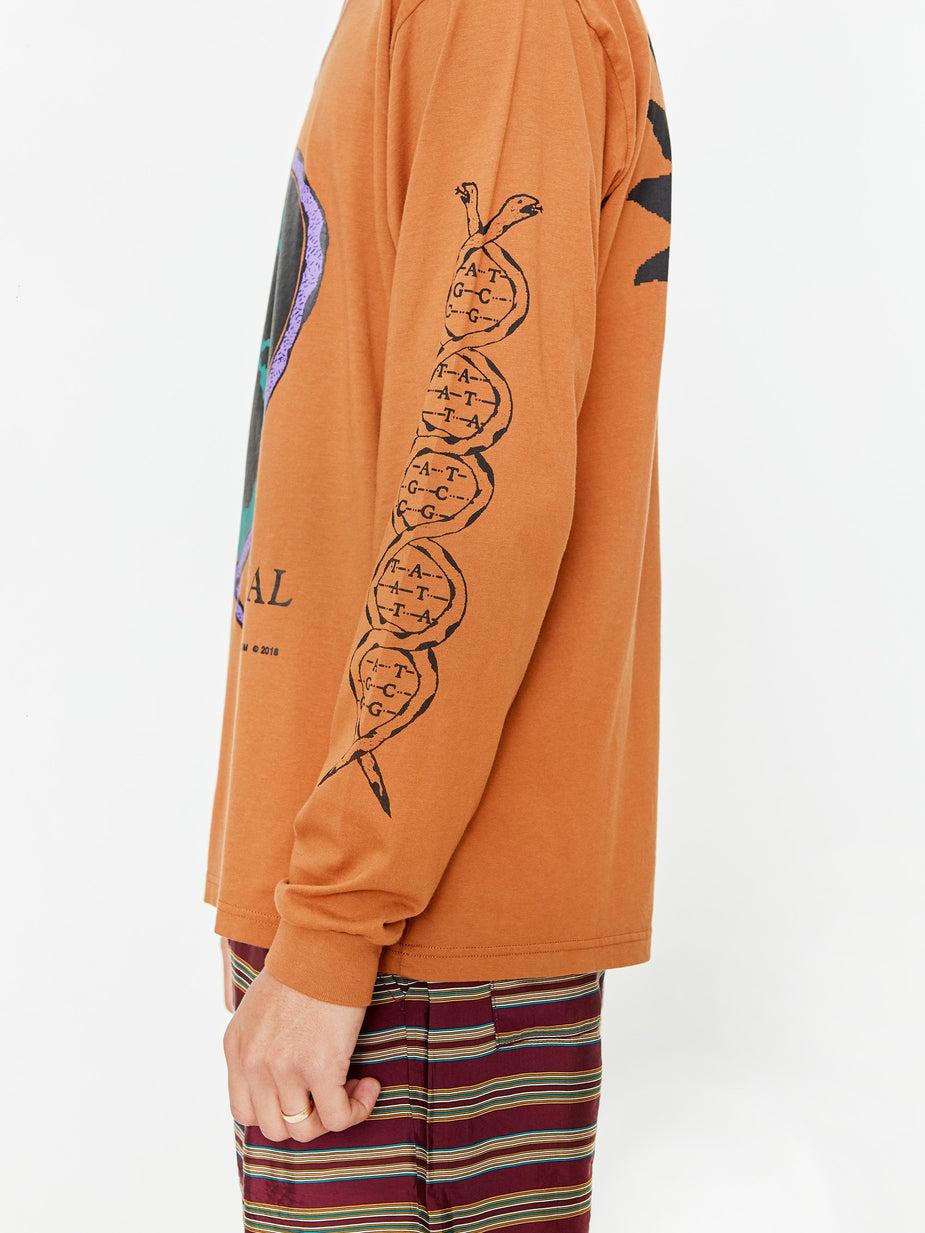 Good Morning Tapes Good Morning Tapes Plants Heal Longsleeve T-Shirt - Clay - Brown