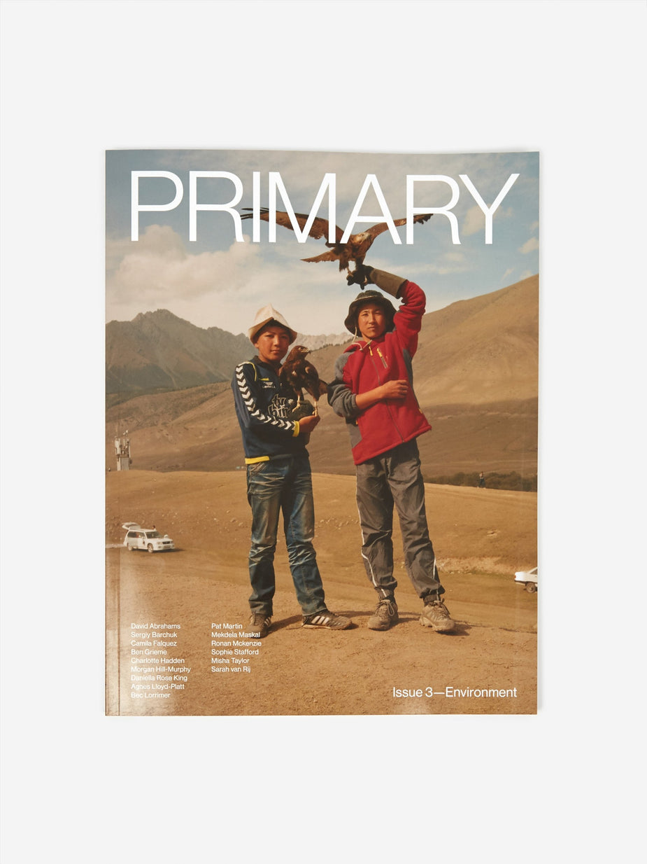 Primary Primary Paper - Other