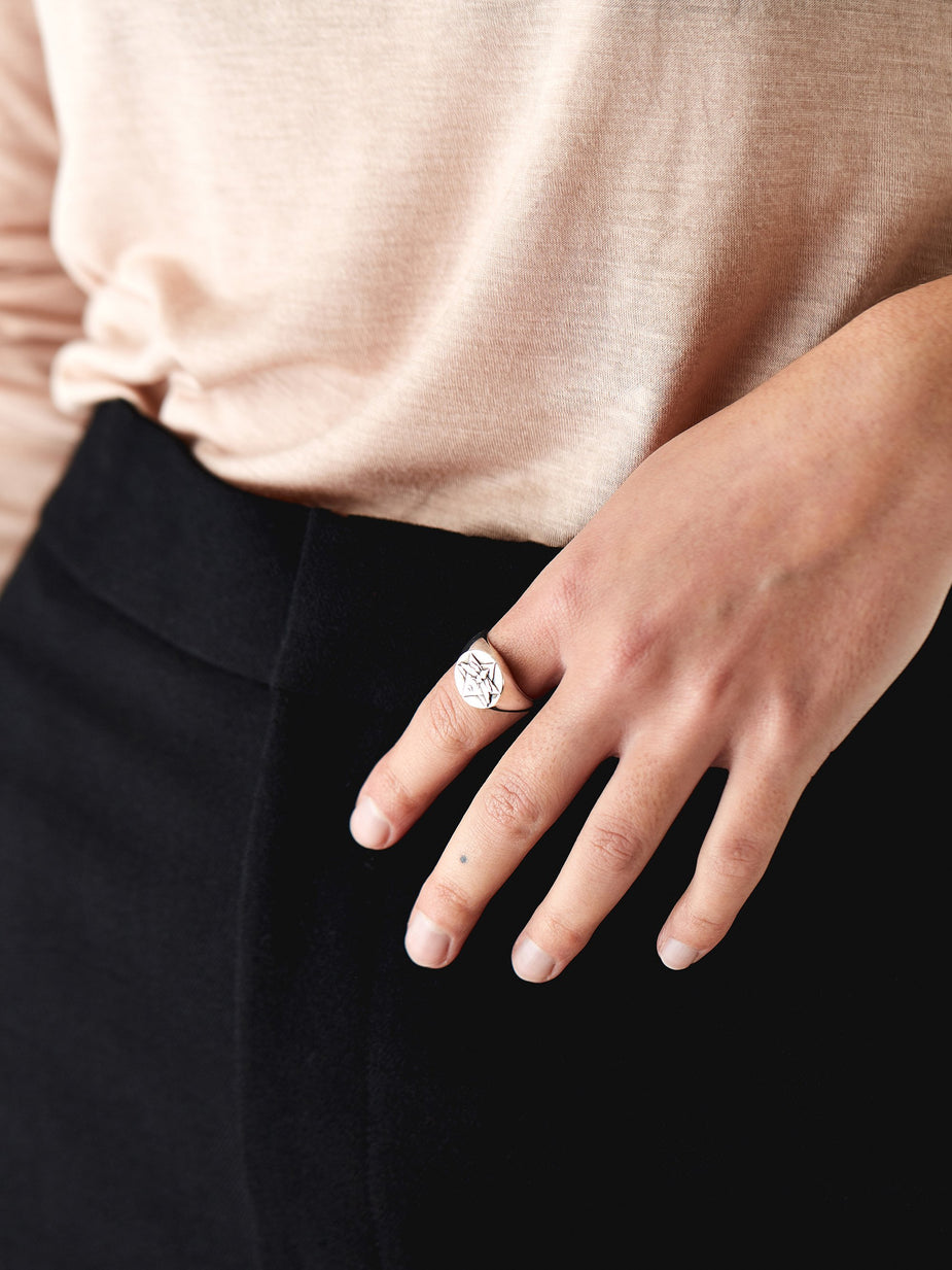 Rachel Entwistle Rachel Entwistle The Lunar Signet Ring - Silver - Silver