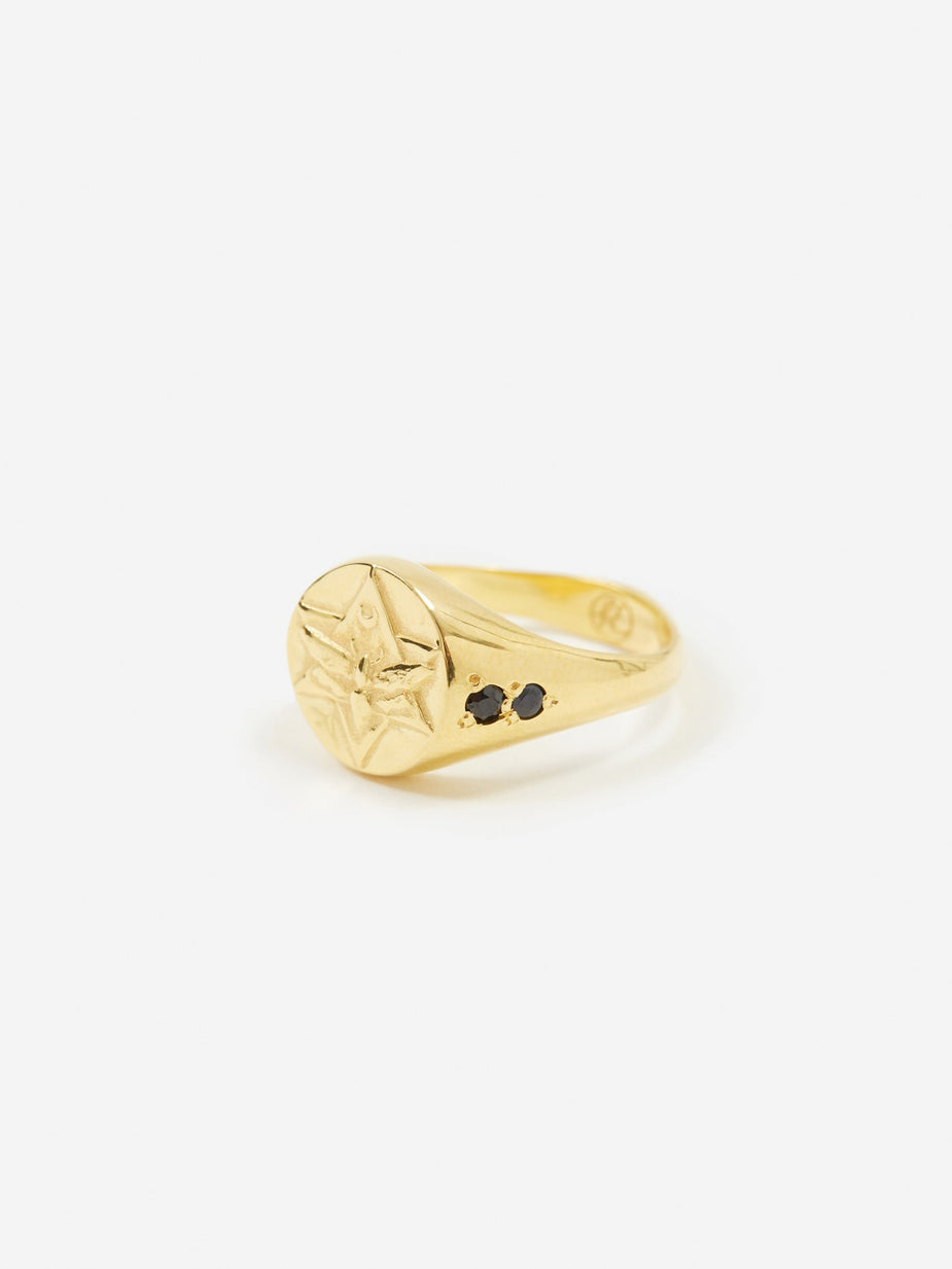 Rachel Entwistle Rachel Entwistle The Lunar Signet Ring - Gold - Gold