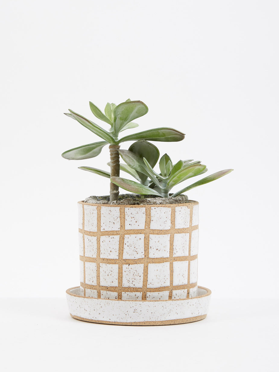 Recreation Center Recreation Center Grid Planter - Multi