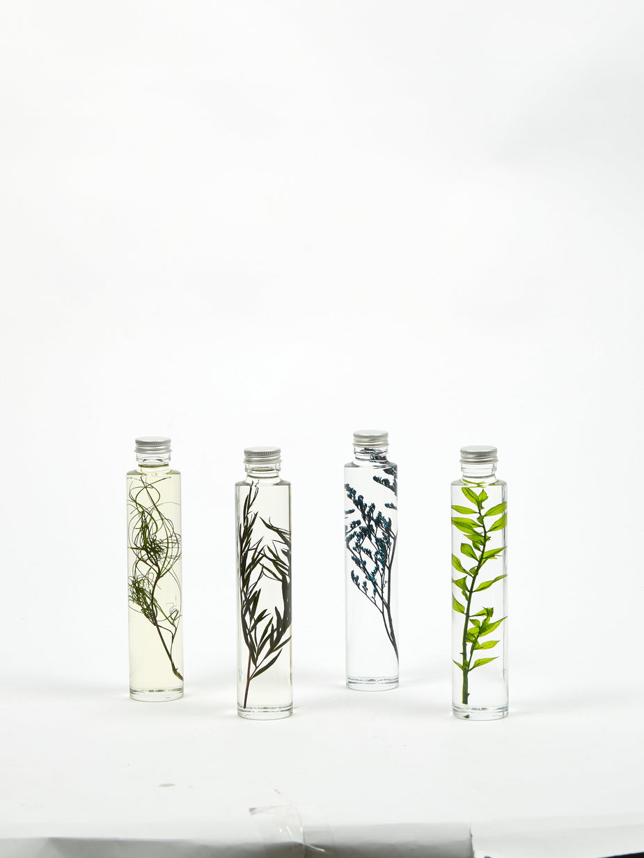 Slow Pharmacy Slow Pharmacy Bottle Plant Small - Other