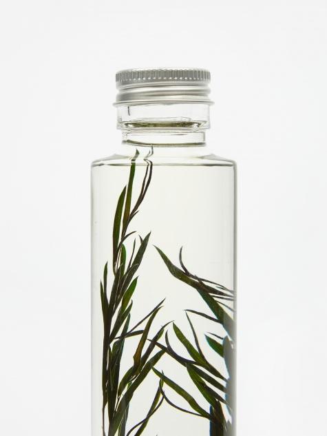 Slow Pharmacy Slow Pharmacy Bottle Plant Large - Melaleuca - Other