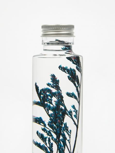 Slow Pharmacy Slow Pharmacy Bottle Plant  Large - Limonium - Other
