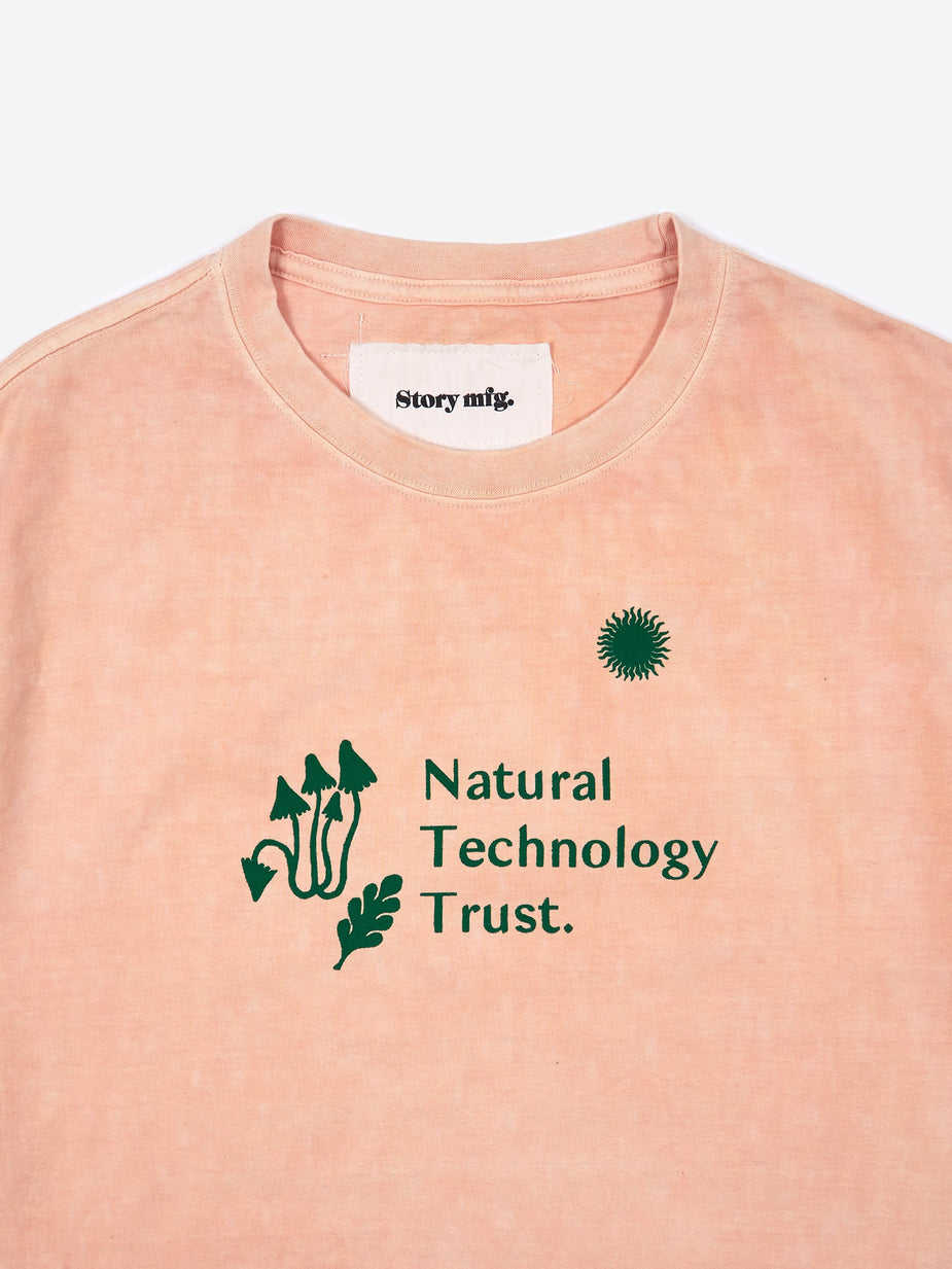 STORY mfg. STORY mfg. Grateful Shortsleeve T-Shirt - Madder Peach - Other