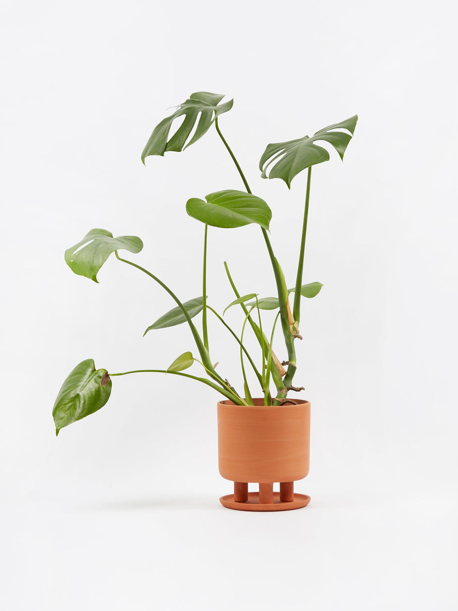 Studio Arhoj Studio Arhoj Terracotta Tri-Pot - Big - Other