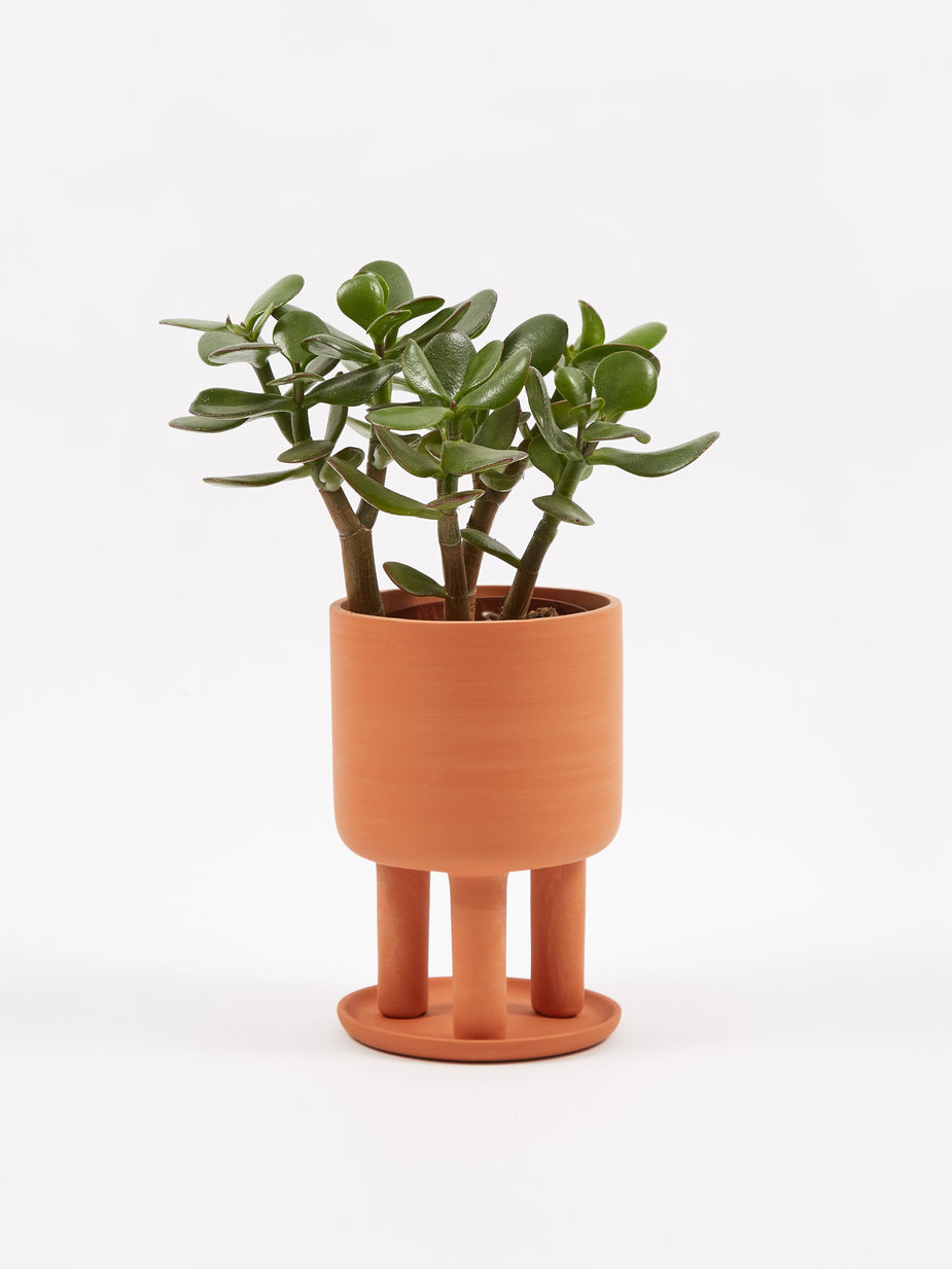 Studio Arhoj Studio Arhoj Terracotta Tri-Pot - Small - Other