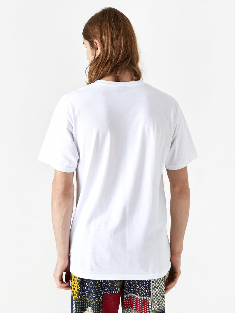 Stussy Stussy Nature Shortsleeve T-Shirt - White - White