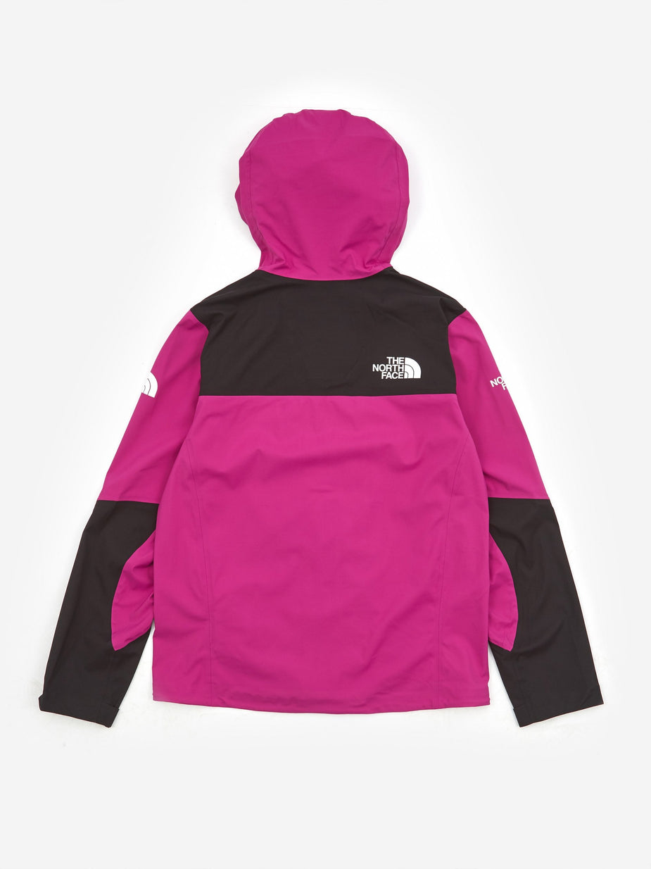 The North Face Black Label The North Face Him Light FutureLight Jacket - Wild Aster Purple - Purple