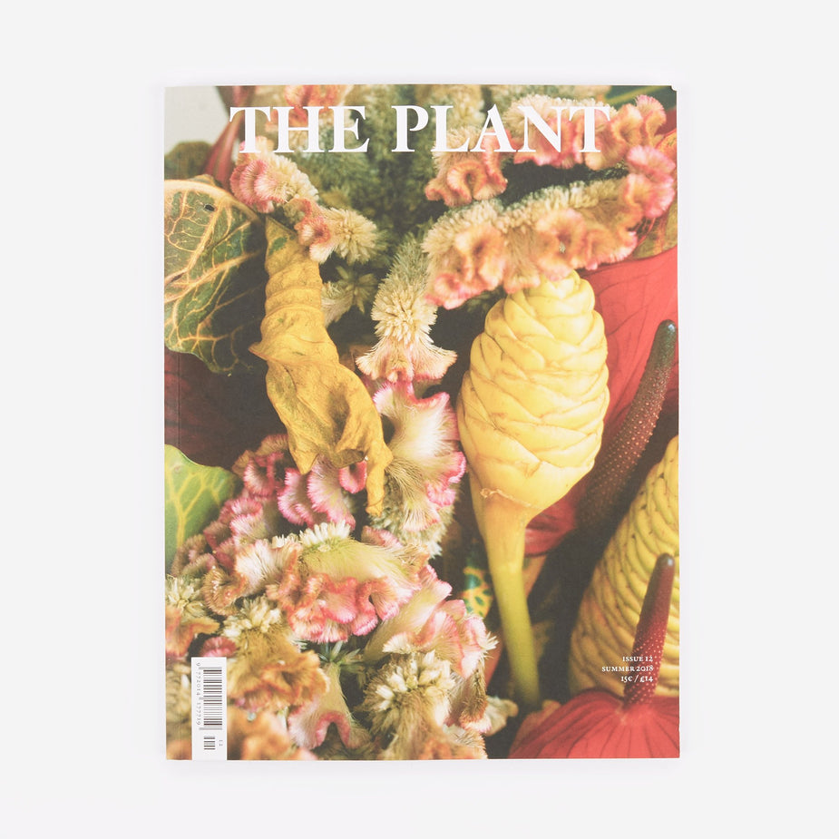 The Plant The Plant - Issue 12 - Pink