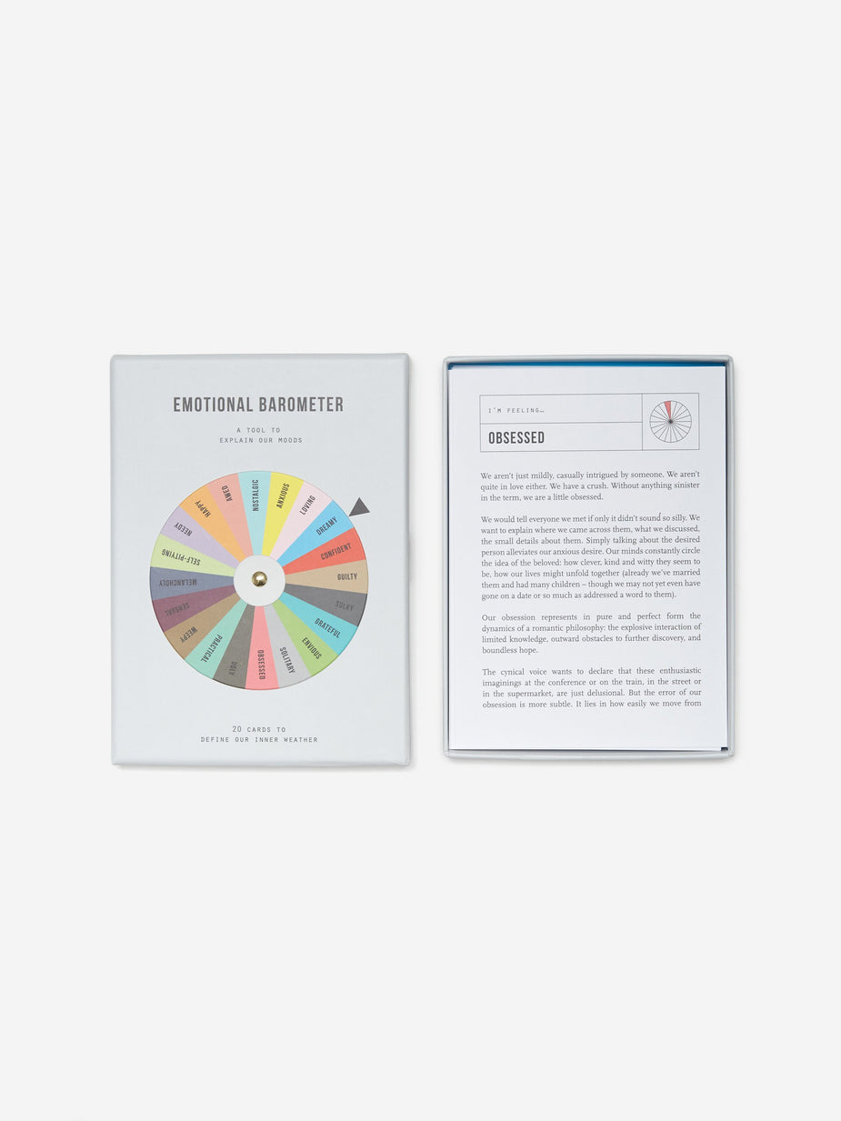 The School of Life The School of Life Emotional Barometer - Grey