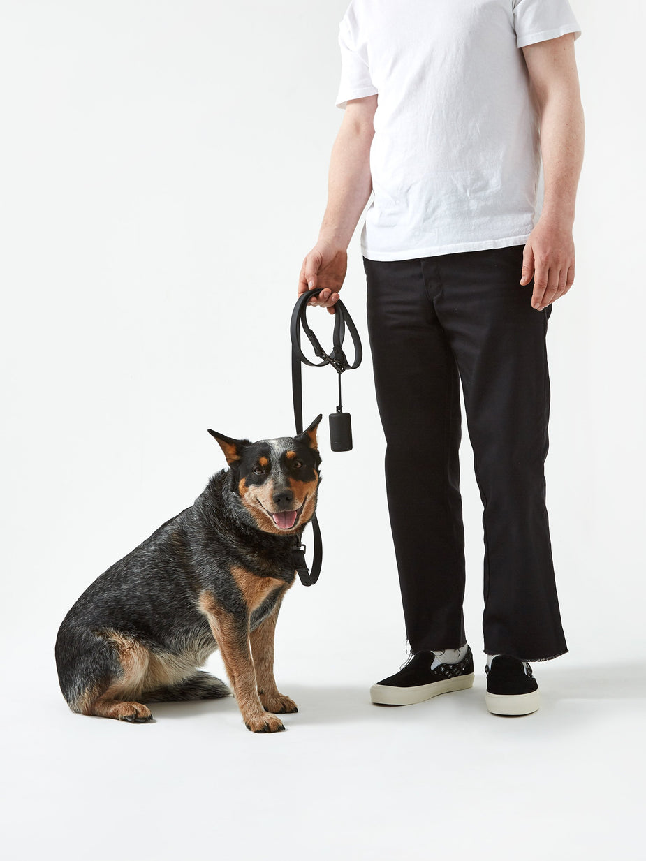 Wild One Wild One Dog Leash - Black - Other