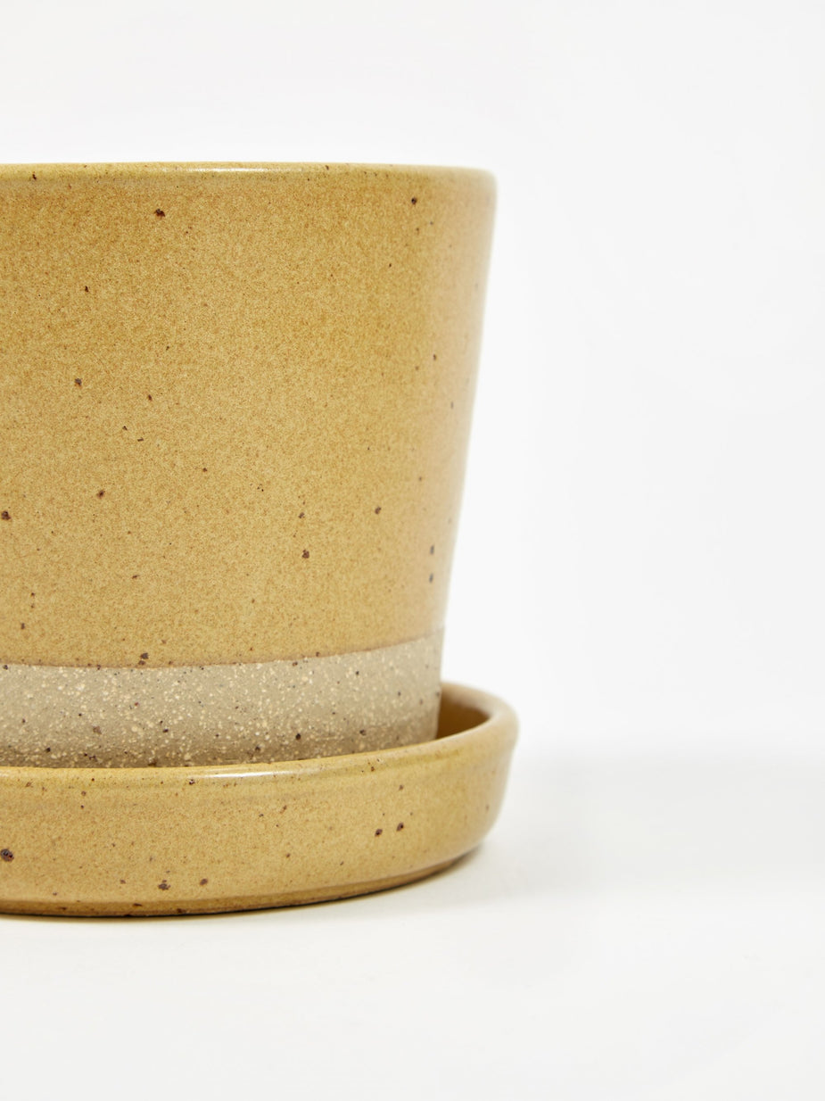 Wingnut & Co Wingnut & Co Oil Planter - Odo - Other